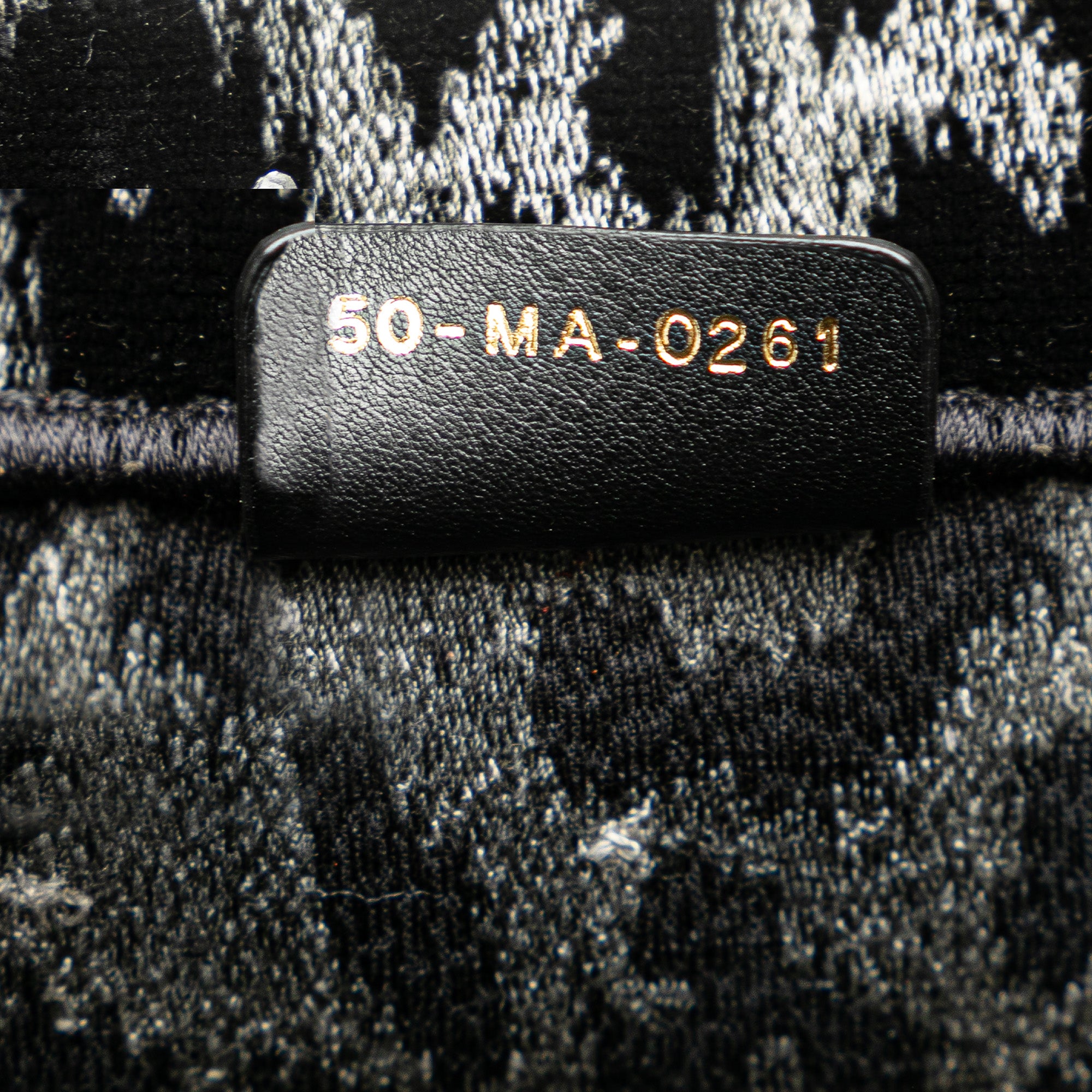 Dior | Pre-Owned Mizza Medium Embroidered Canvas Leopard Book Tote | Black