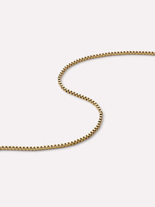 Alden Anklet | 14K Gold on Stainless Steel