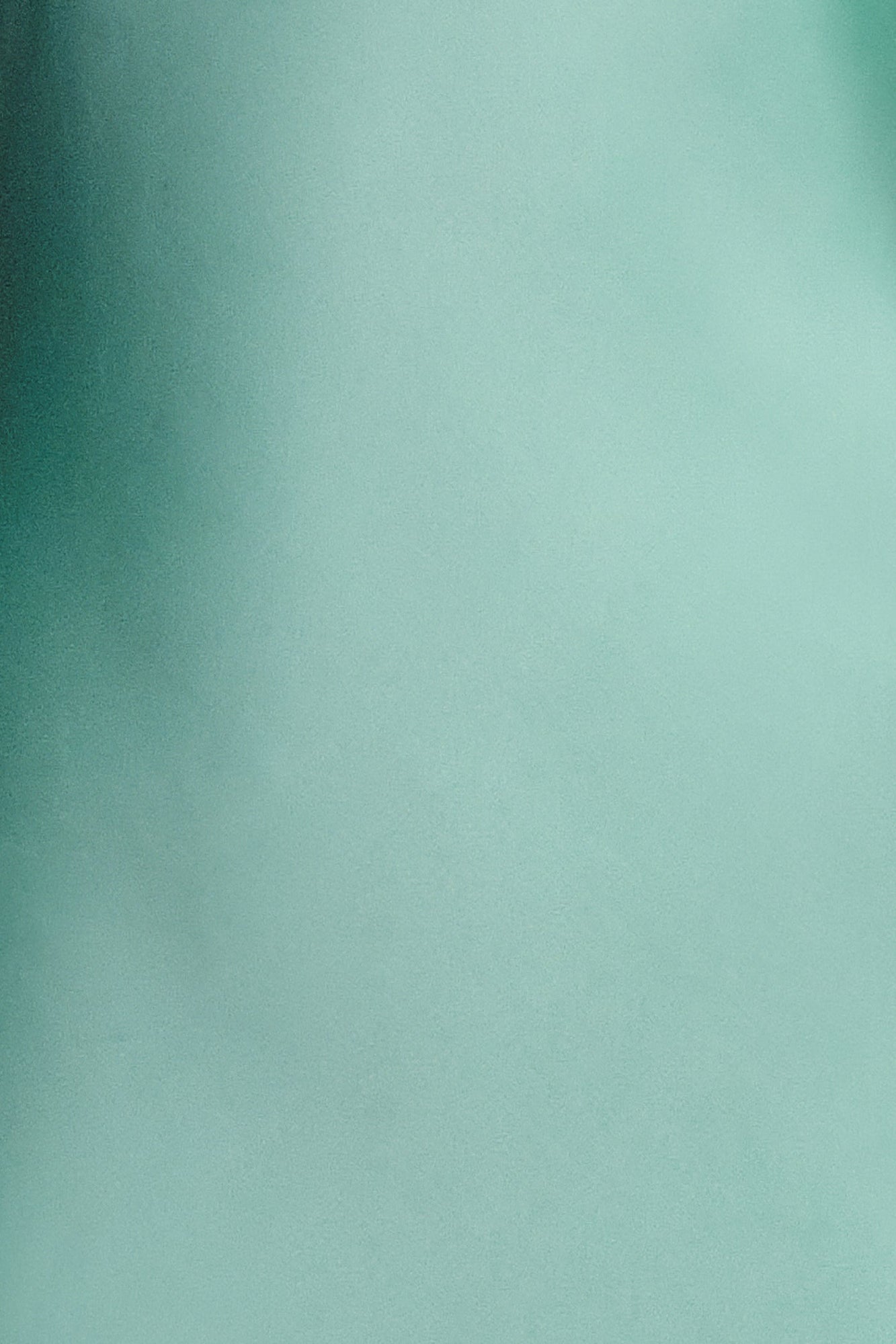 SWATCH:Eucalyptus