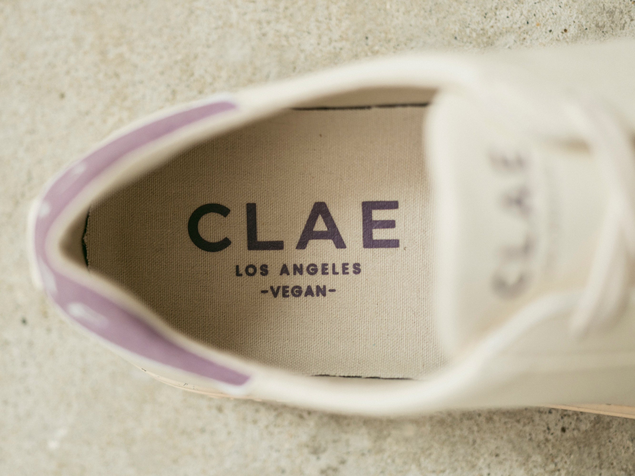 Mens | Bradley Vegan | Off-White Elderberry Vegan