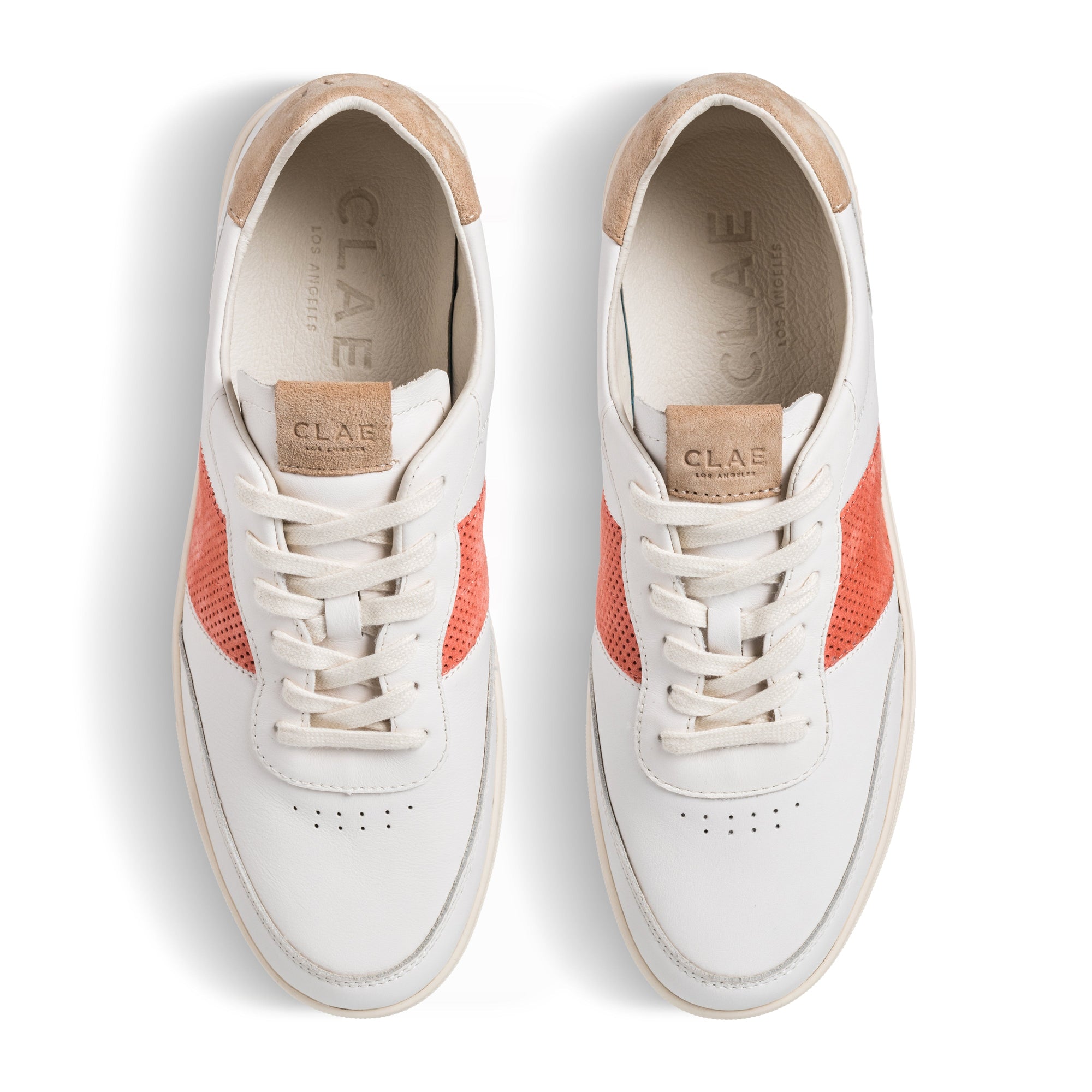 Unisex | Davis | Off-White Safari Camellia