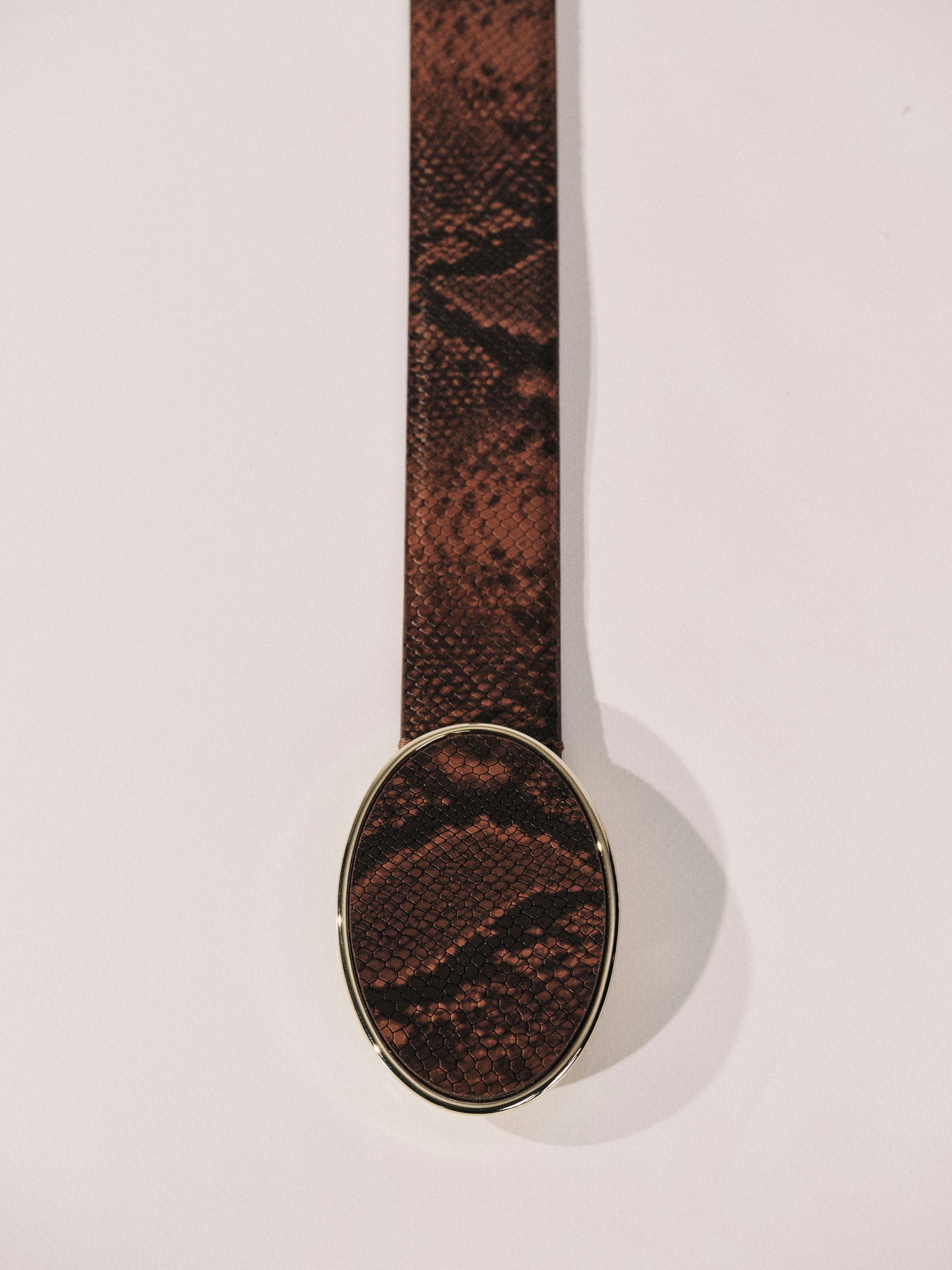 Flint Belt | Brown Python & Pale Gold