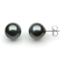 AA+ Round Stud Earrings | 14K White Gold | Black Tahitian Pearl | 11mm - 12mm | Pushback Clasp