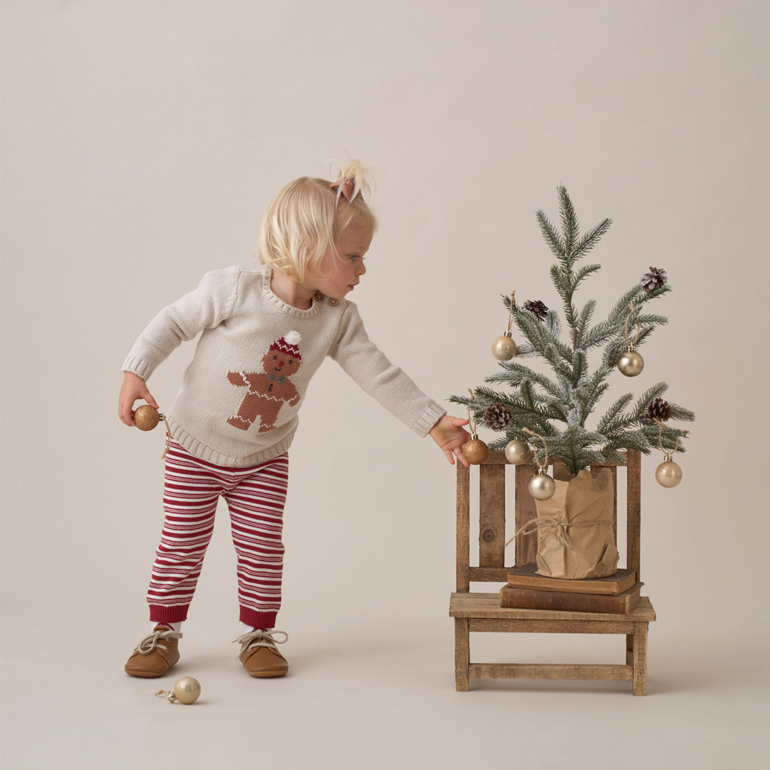Unisex | Gingerbread Holiday Pullover Set | Red