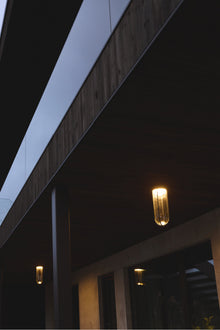 In Vitro Outdoor Ceiling 3000K 1-10V | Forest Green