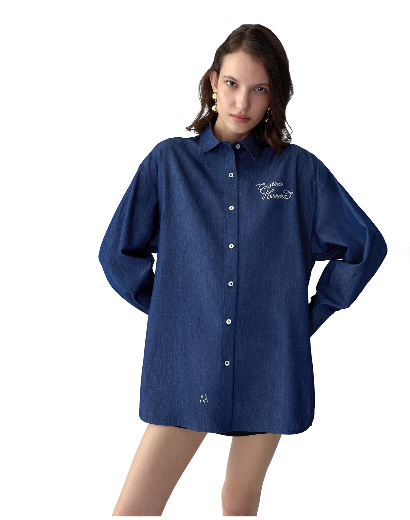 Long Sleeve Oversized Button Down Top With Embroidery