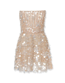 Embroidered Pointed Bustier Mini Dress | Nude