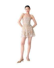 Embroidered Pointed Bustier Mini Dress | Nude