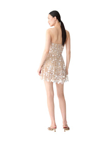 Embroidered Pointed Bustier Mini Dress | Nude