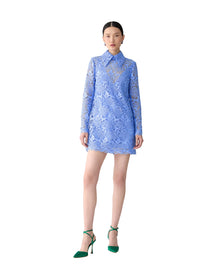 Long Sleeve Shift Dress with Collar | Cornflower