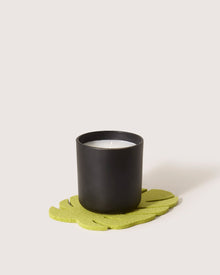 Merino Wool Small Monstera Trivet | Pistachio