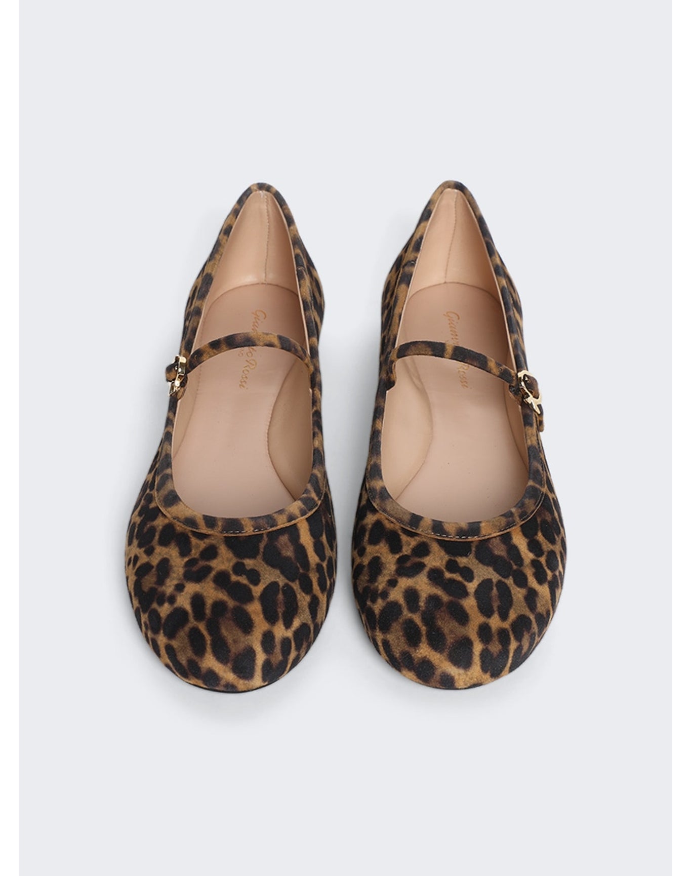 Gianvito Rossi | Women | Carla Camoscio Flat | Almond Leopard Print