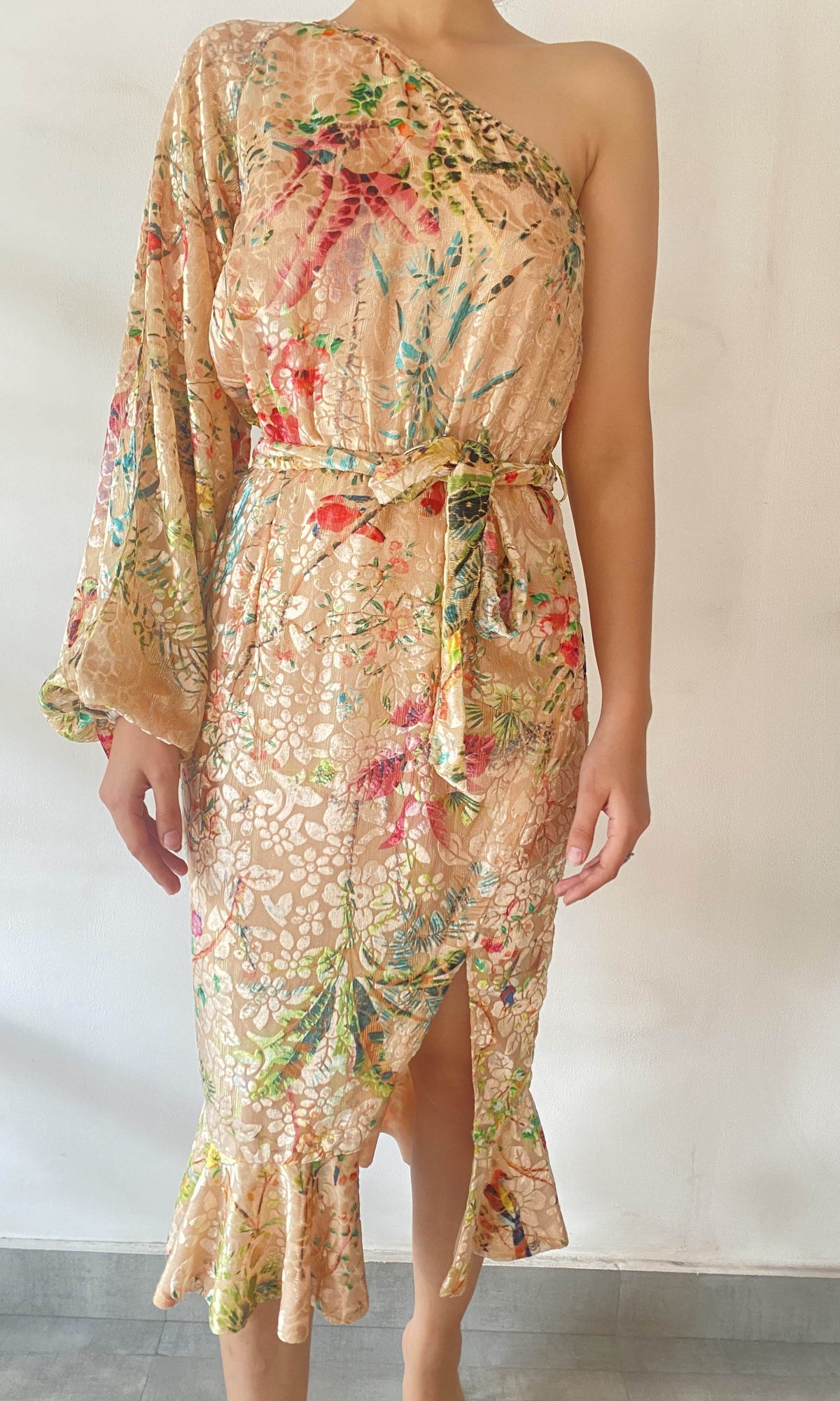 Hemant And Nandita | Veena Velvet Brasso Midi Dress | Peach Multi