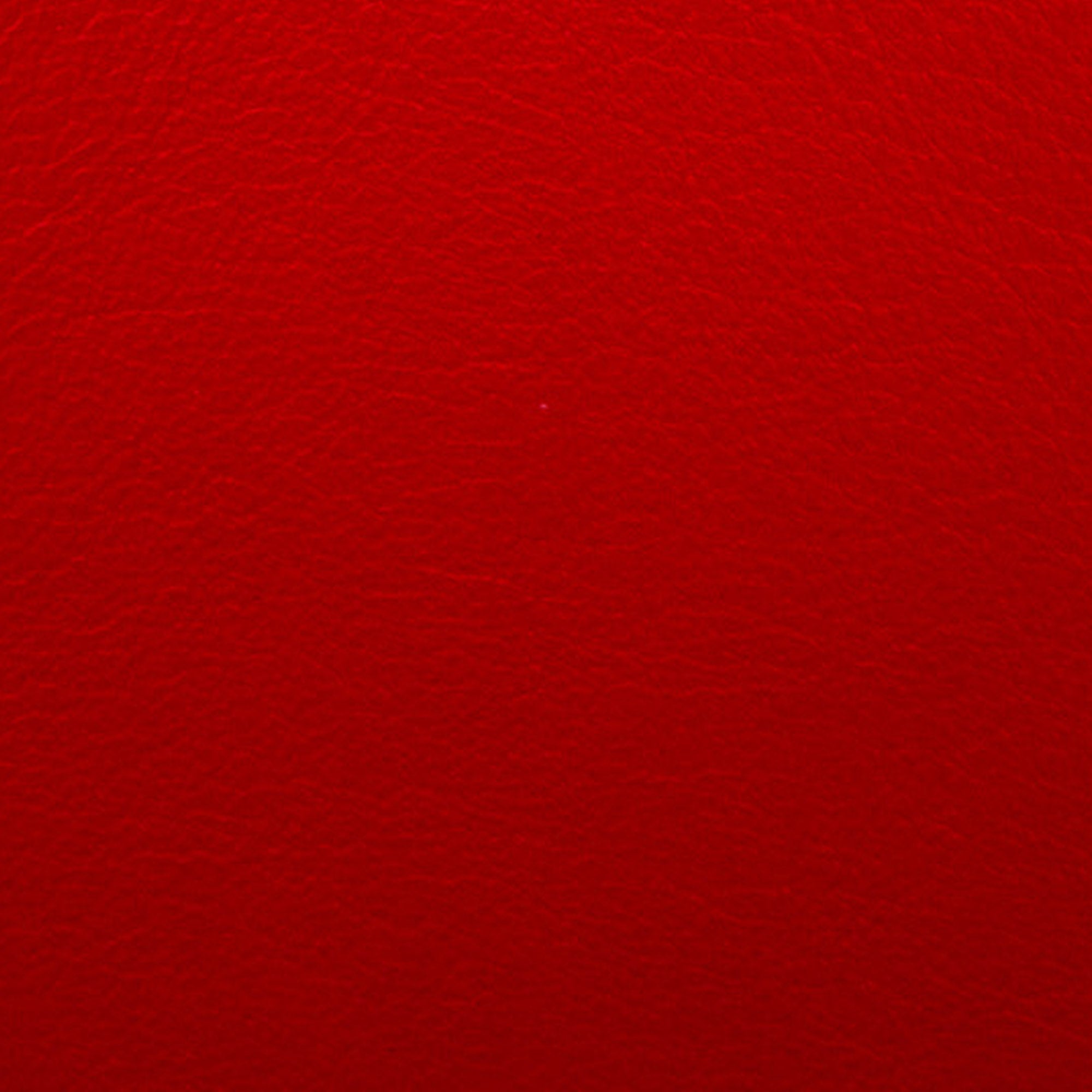 Celine | Pre-Owned Frame Leather Wallet on Chain | Red