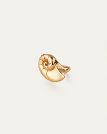 Dylan Ring | 14K Gold-Plated Steel