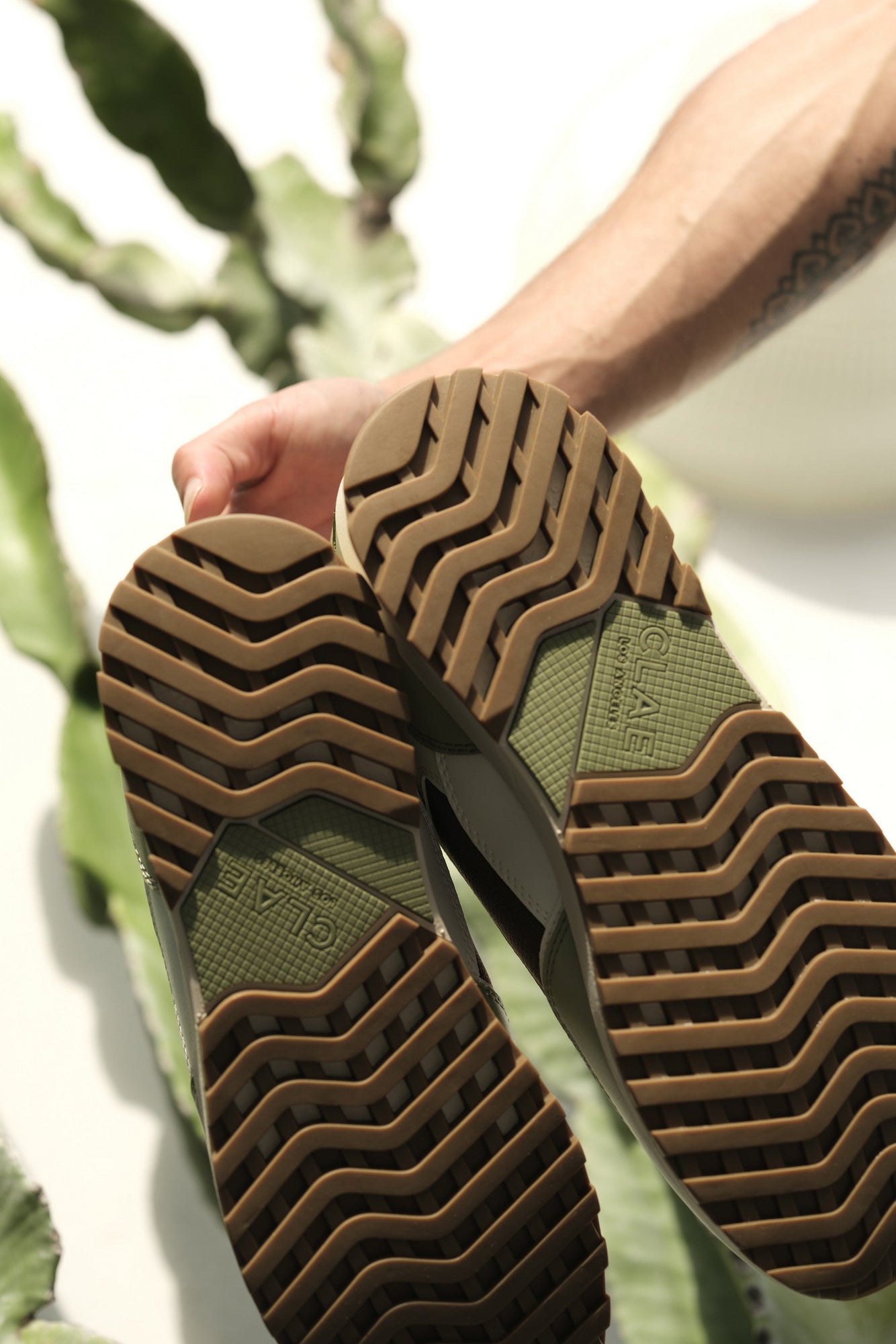Unisex | Joshua Cactus | Sage White Brown