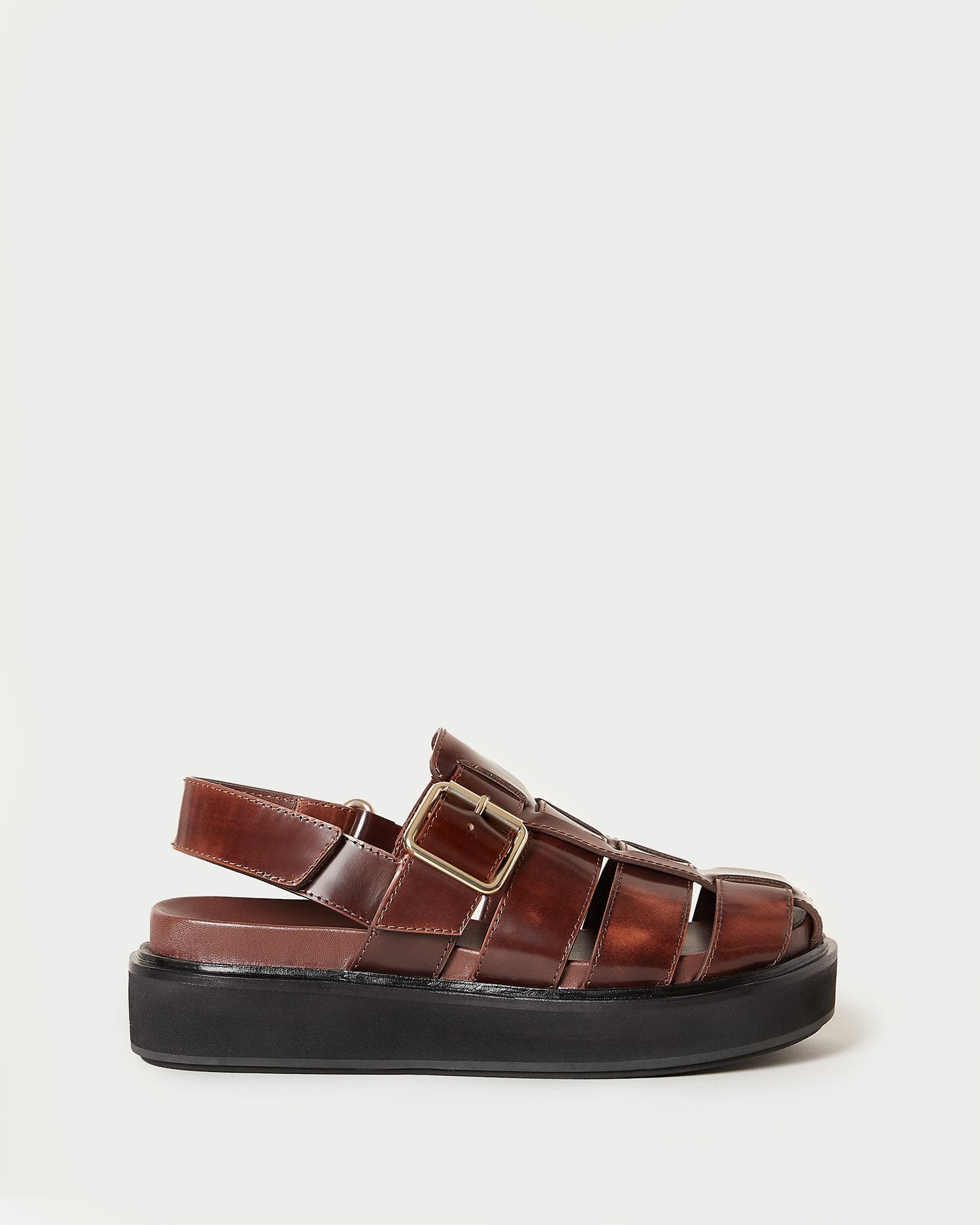 Color: Brown