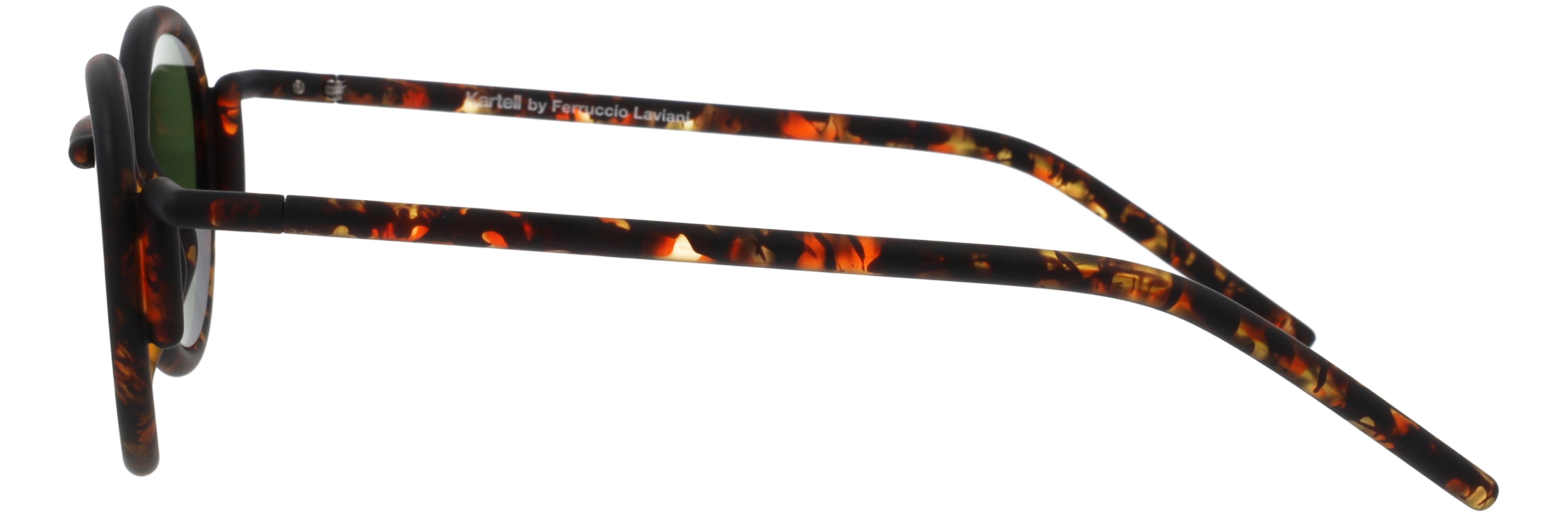 Unisex | Segmenti Oval Sunglasses | Brown Lens | Tortoise