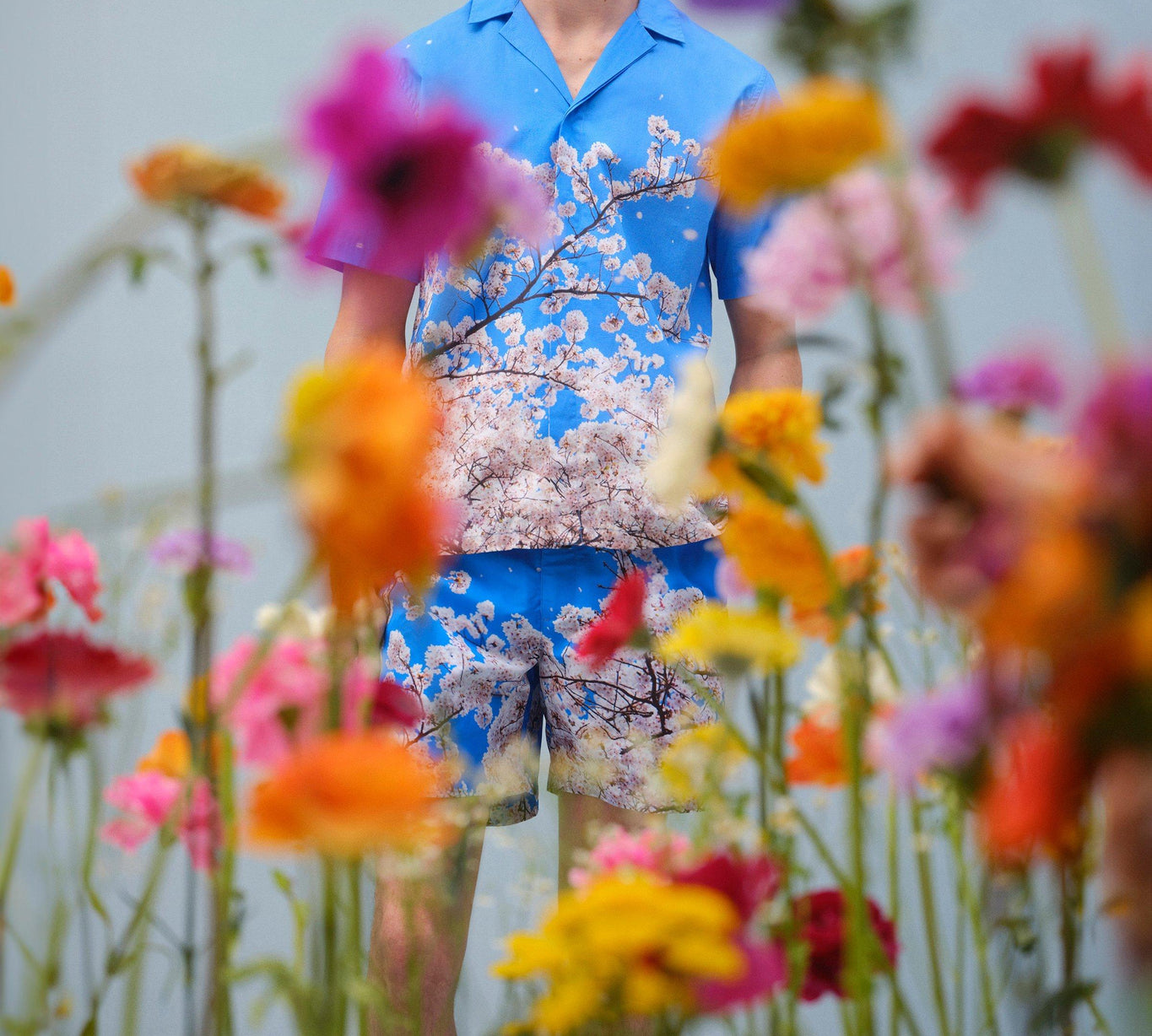 Maitan Photographic Print Relaxed Fit Capri Collar Shirt | Blossom