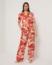 Poinciana/Cream