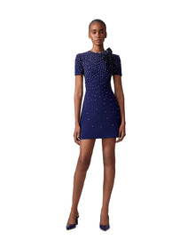 Embroidered Short Sleeve Mini Dress | Midnight