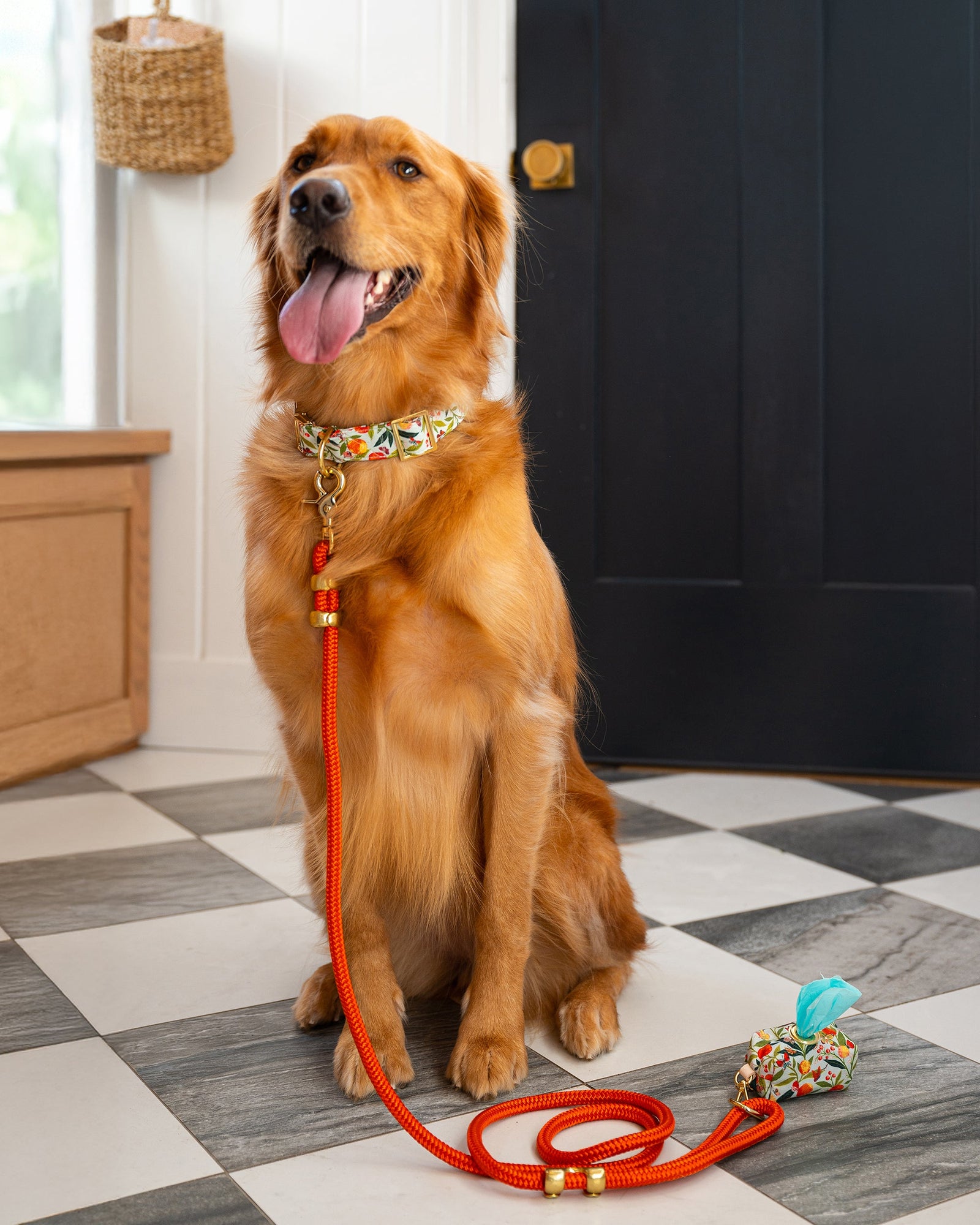PF x The Foggy Dog - Marine Rope Dog Leash - Cider - Printfresh