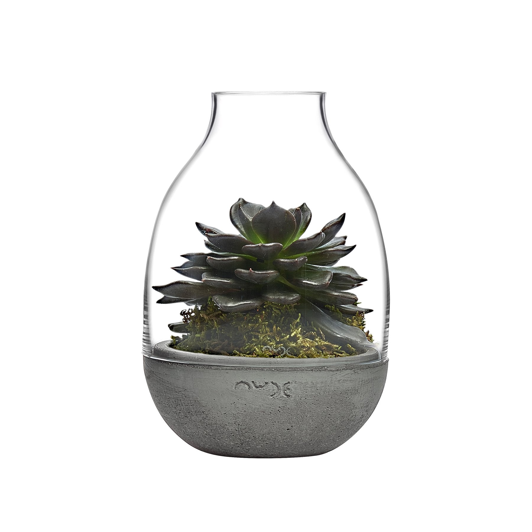 Eden Terrarium With Moulded Concrete Base - Mini | Clear Crystal/Conrete