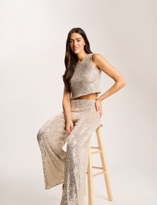 Sequin Mesh Muscle Crop Top::Silver::Hover