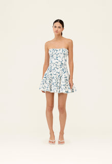 Secreto-Caudal-Gloriosa-Mini-Dress-19225-1.jpg