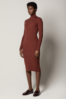 Another Tomorrow Turtleneck Sweater Dress in Rust – Wool Women's Dress