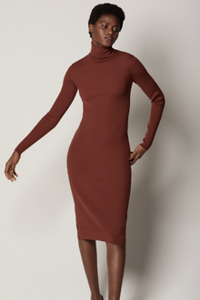 Another Tomorrow Turtleneck Sweater Dress in Rust – Wool Women's Dress