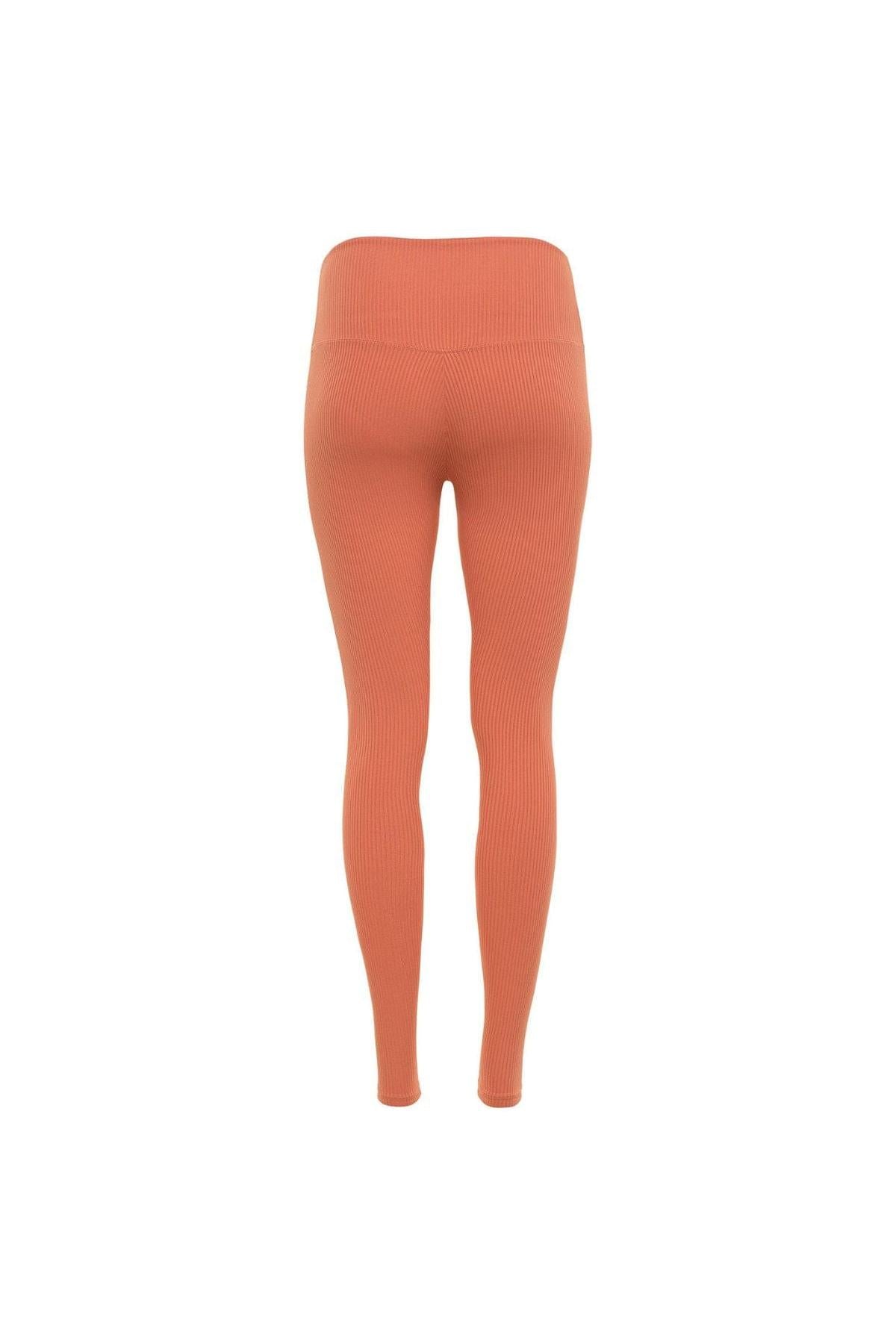 Coral ribbed legging with high waistband shown from back view.