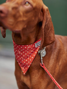 Pet | Bandana For Dogs | Red