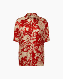 Poinciana/Cream