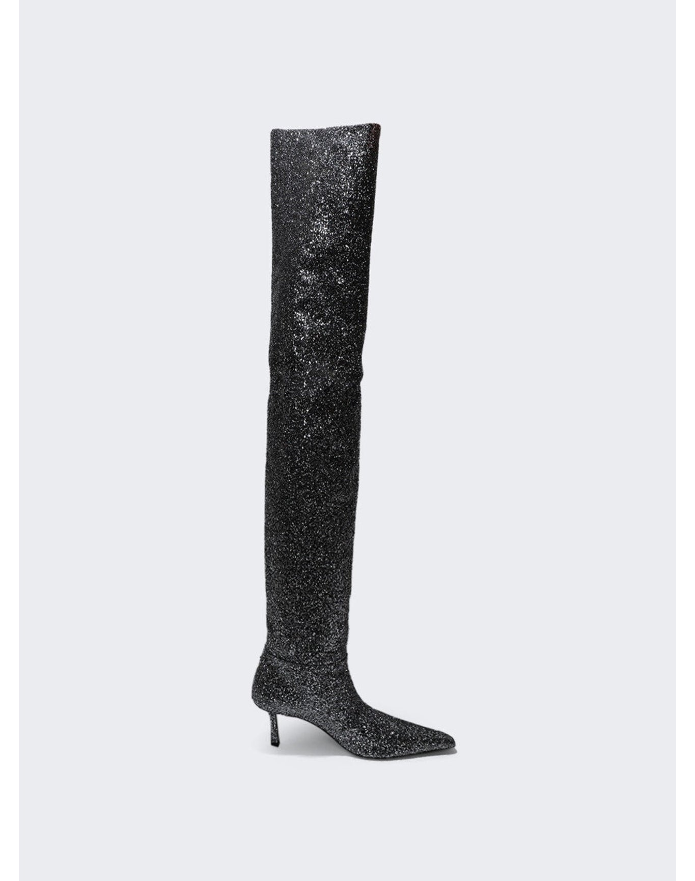 Alexander Wang | Women | Viola 65 High Hip Boot Asphalt | Black
