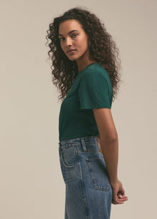 juniper yellow