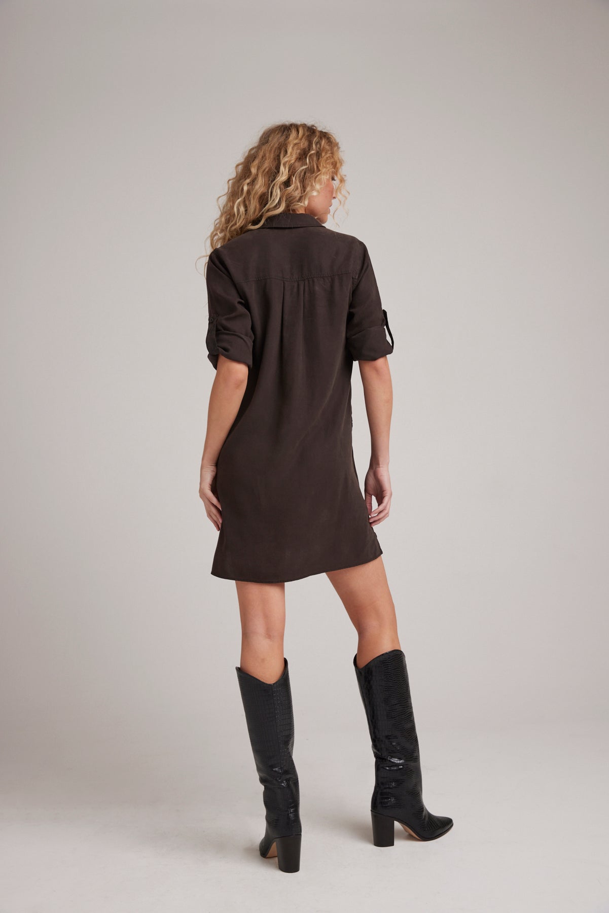 Long Sleeve A-Line Dress | Quartz Brown